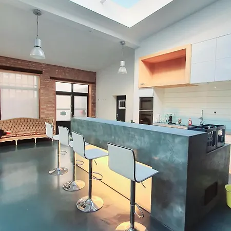 Vakantiehuis Loft Im Szeneviertel Mannheims Mannheim